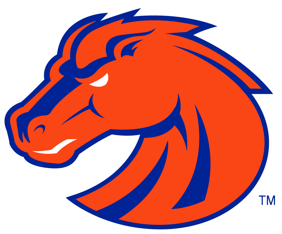 Boise State Broncos 2002-2012 Secondary Logo v4 diy DTF decal sticker